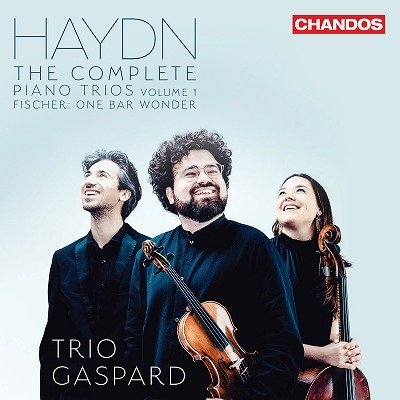 CD Shop - TRIO GASPARD HAYDN: THE COMPLETE PIANO TRIOS VOL. 1