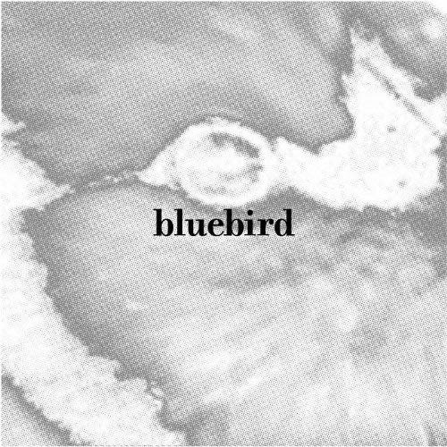 CD Shop - BLUEBIRD BLUEBIRD