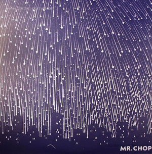 CD Shop - MR. CHOP FOR PETE\