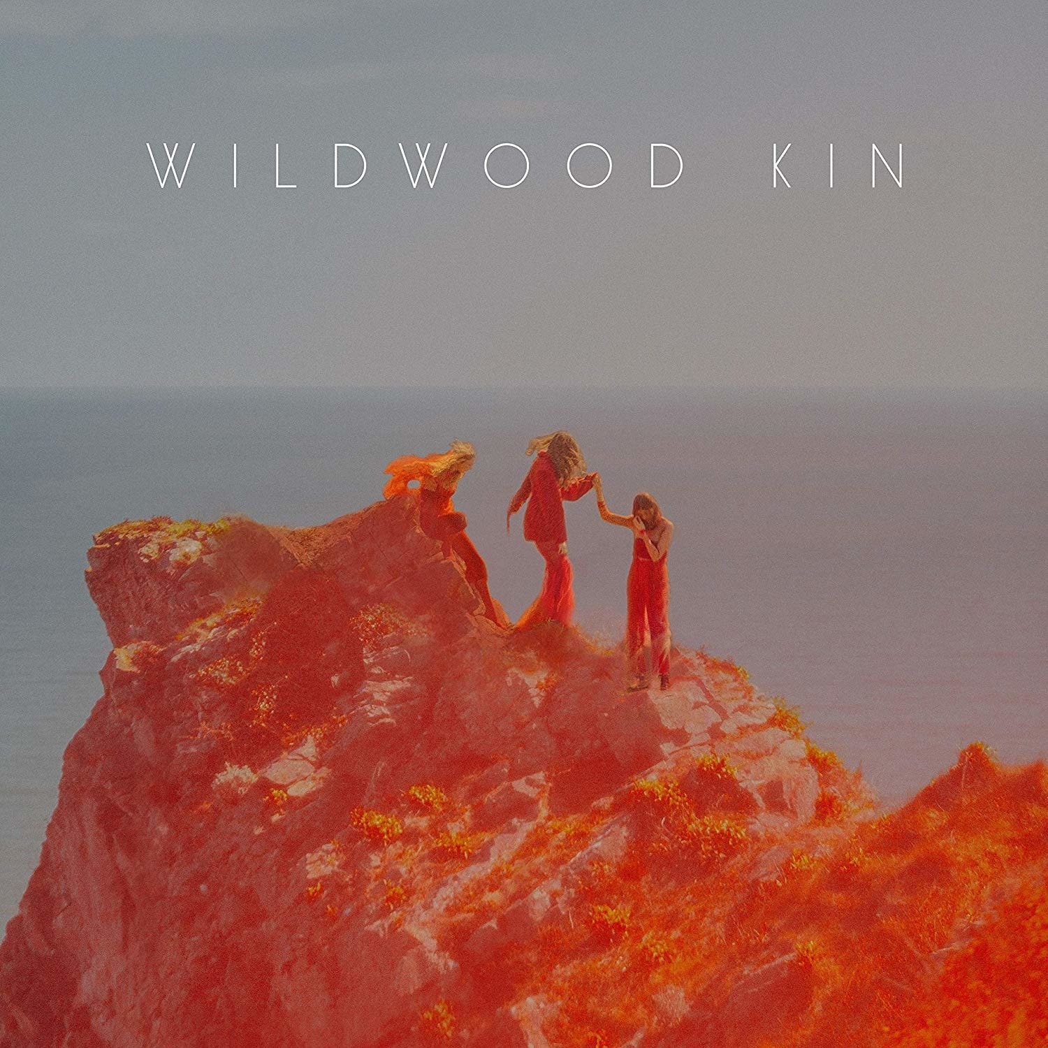 CD Shop - WILDWOOD KIN WILDWOOD KIN