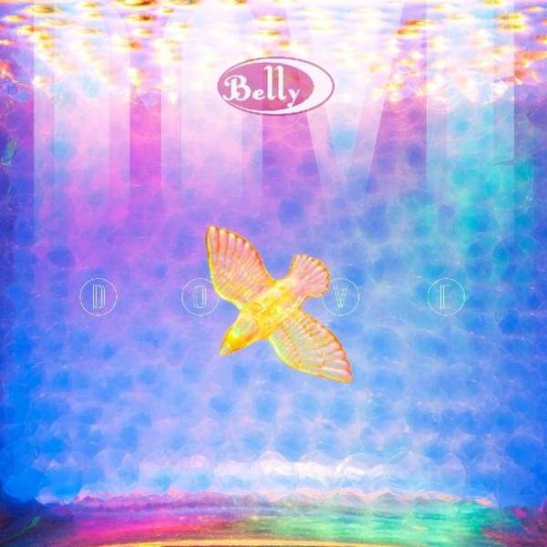 CD Shop - BELLY DOVE