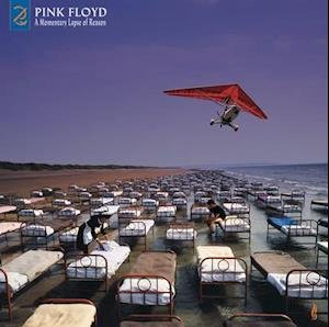 CD Shop - PINK FLOYD A MOMENTARY LAPSE OF REASON