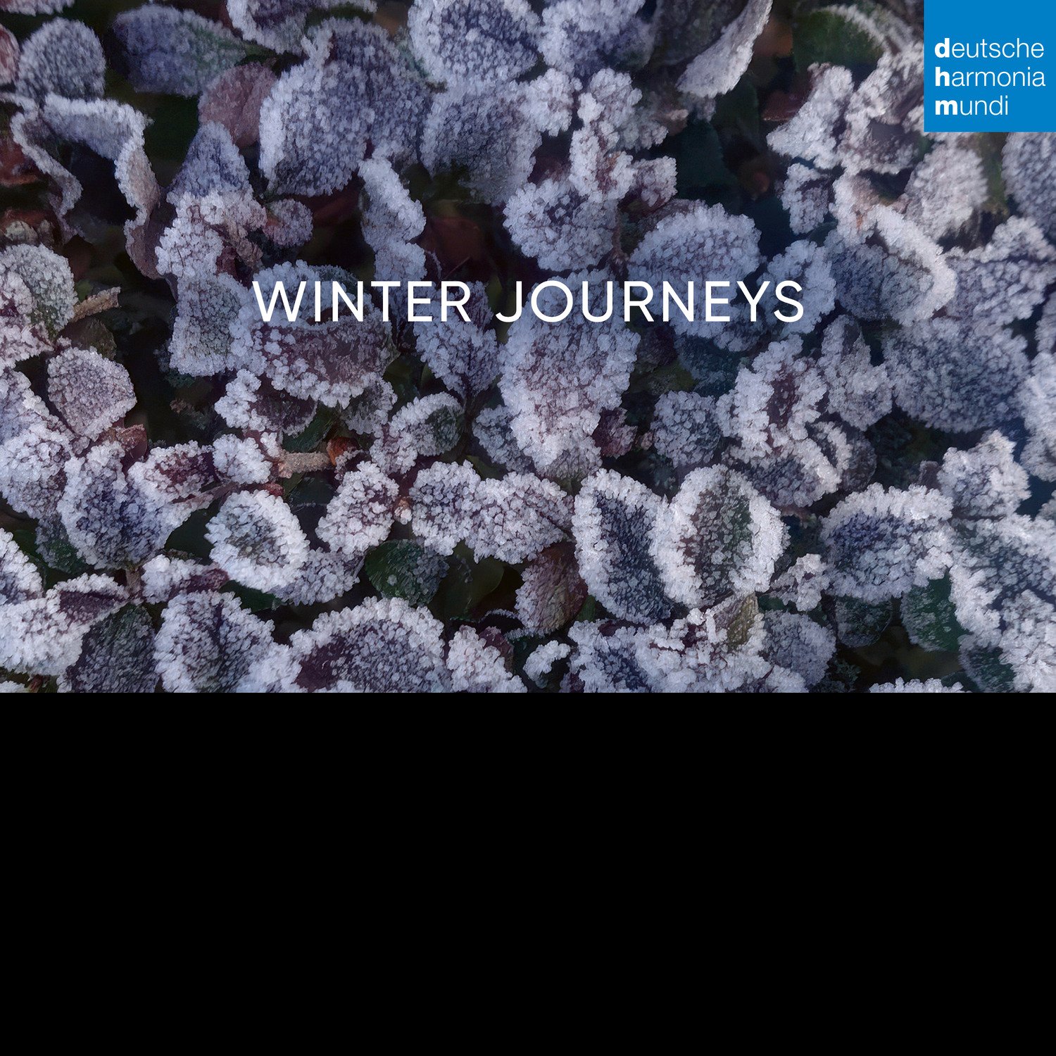 CD Shop - LAUTTEN COMPAGNEY & WOLFG Winter Journeys
