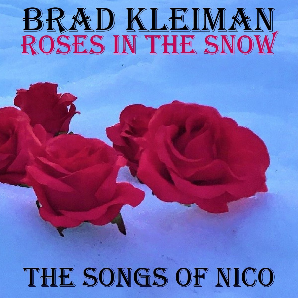 CD Shop - KLEIMAN, BRAD ROSES IN THE SNOW