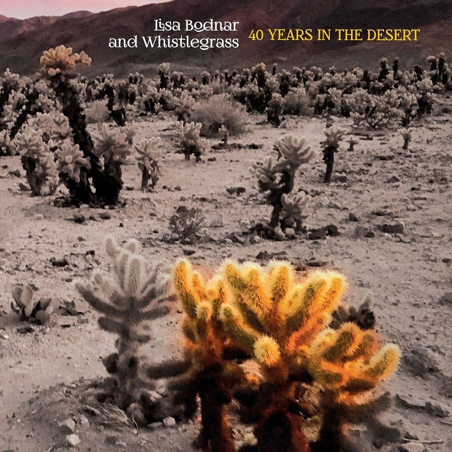 CD Shop - BODNAR, LISA & WHISTLEGRA 40 YEARS IN THE DESERT
