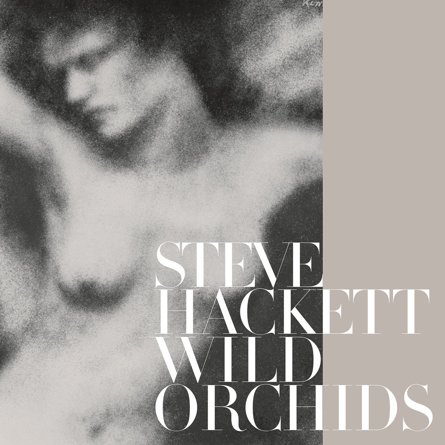 CD Shop - HACKETT, STEVE Wild Orchids (Vinyl Re-issue 2023)