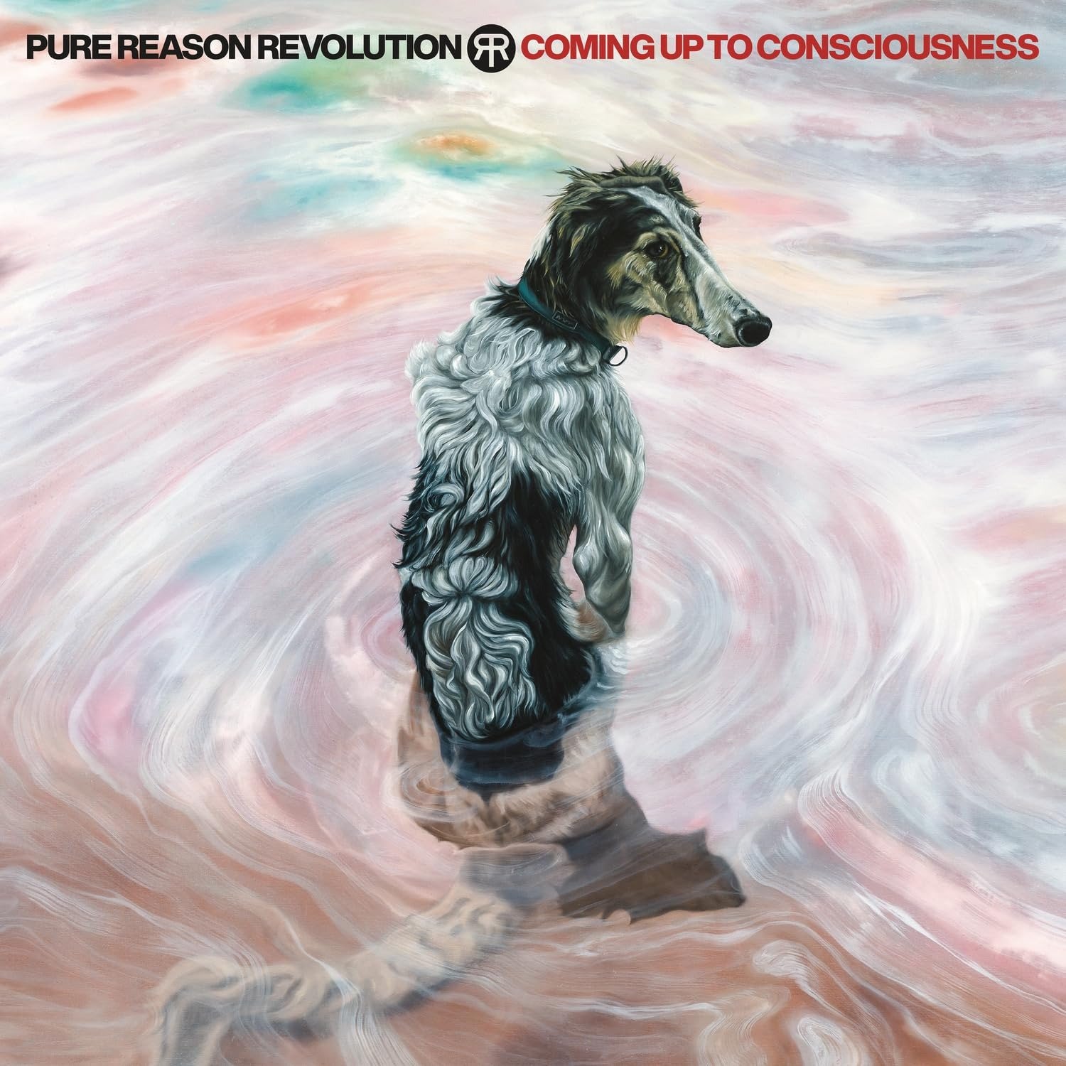 CD Shop - PURE REASON REVOLUTION COMING UP TO CONSCIOUS...