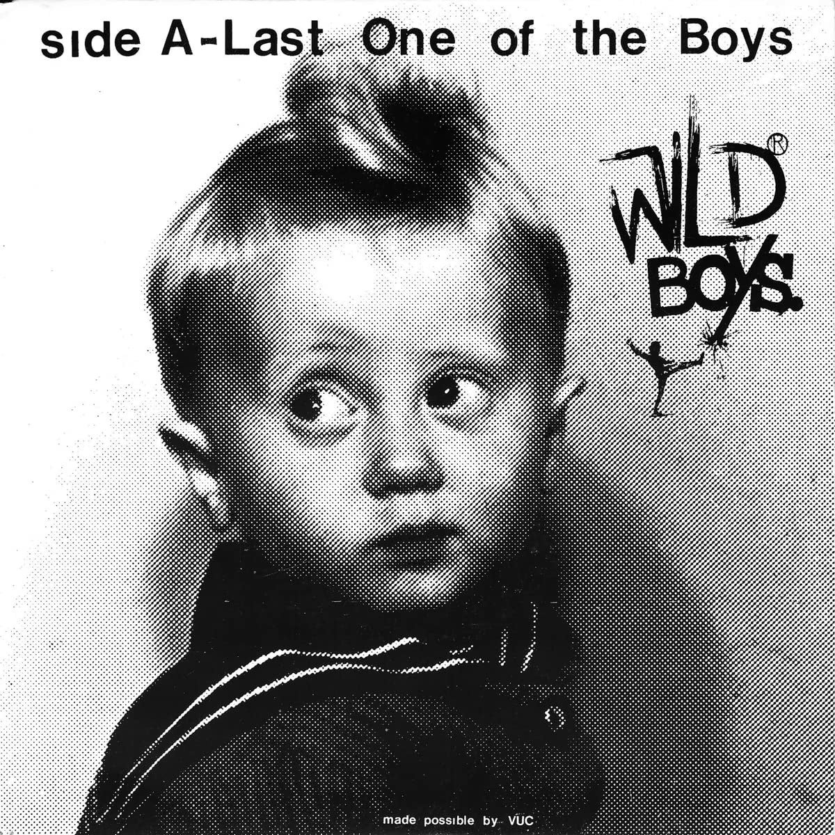CD Shop - WILD BOYS LAST ONE OF THE BOYS