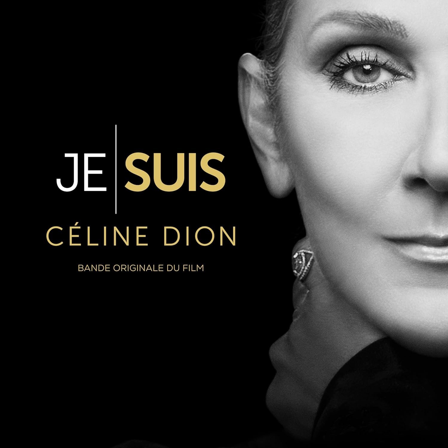 CD Shop - DION, CELINE JE SUIS : CELINE DION / FRENCH EDITION