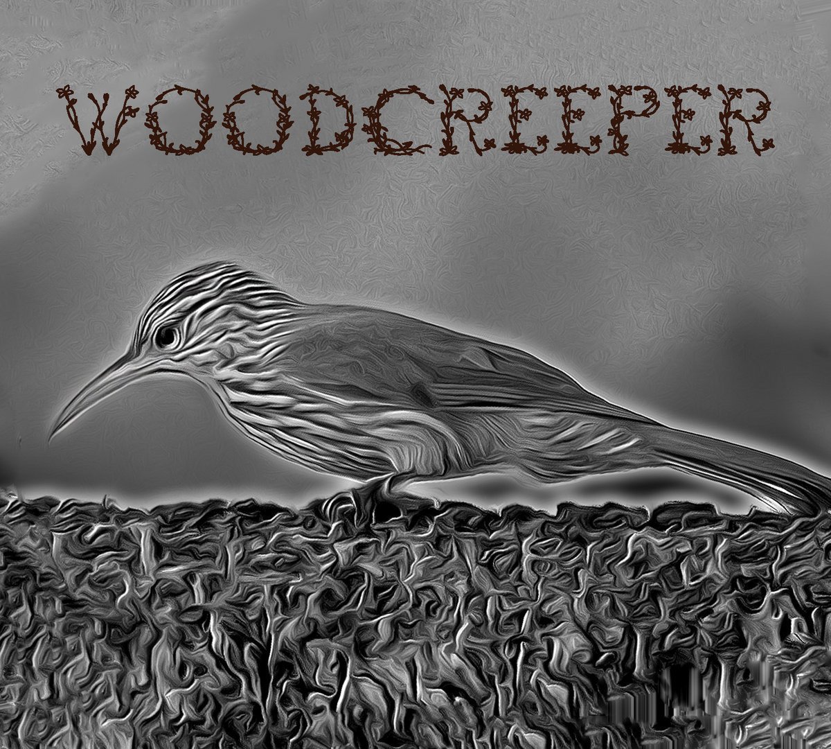 CD Shop - WOODCREEPER I