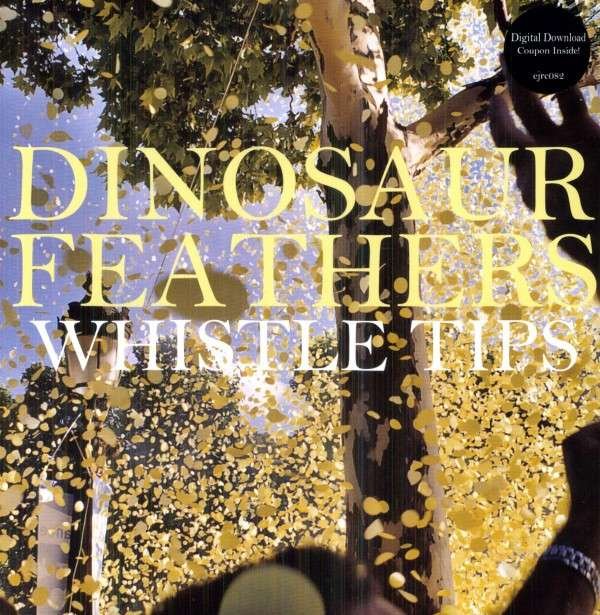 CD Shop - DINOSAUR FEATHERS WHISTLE TIPS