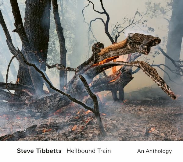 CD Shop - TIBBETTS, STEVE HELLBOUND TRAIN: AN ANTHOLOGY