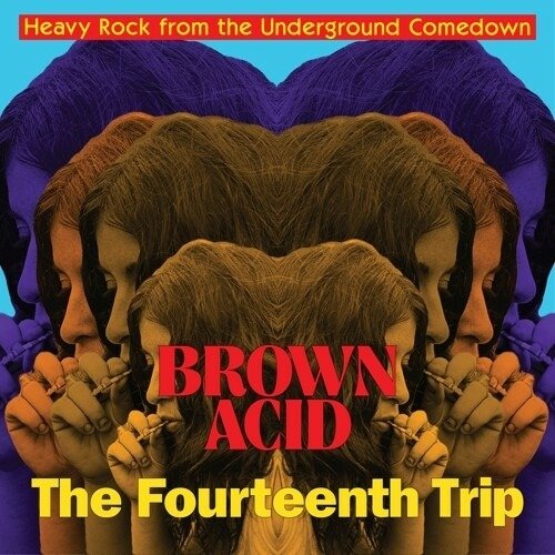 CD Shop - V/A BROWN ACID: THE 14TH TRIP