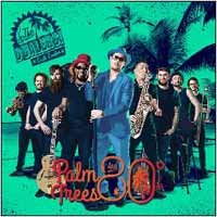 CD Shop - DUALERS PALM TREES AND 80 DEGREES