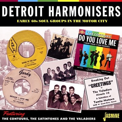 CD Shop - V/A DETROIT HARMONISERS