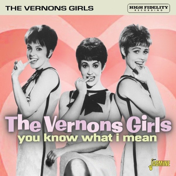 CD Shop - VERNONS GIRLS YOU KNOW WHAT I MEAN
