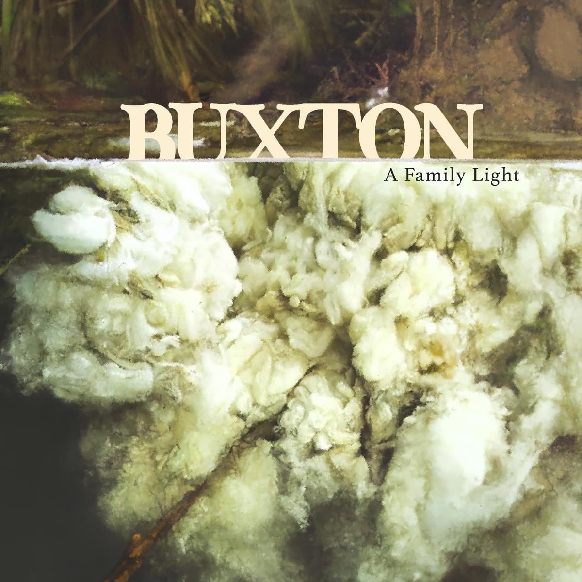 CD Shop - BUXTON A FAMILY LIGHT