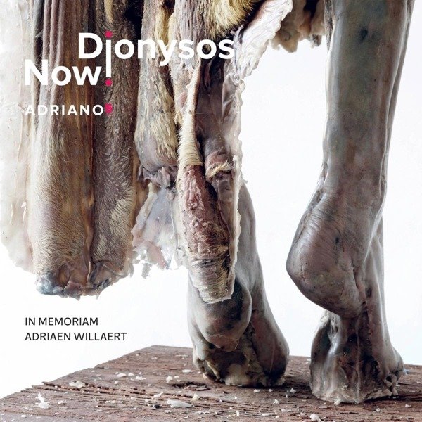 CD Shop - DIONYSOS NOW! ADRIANO 5