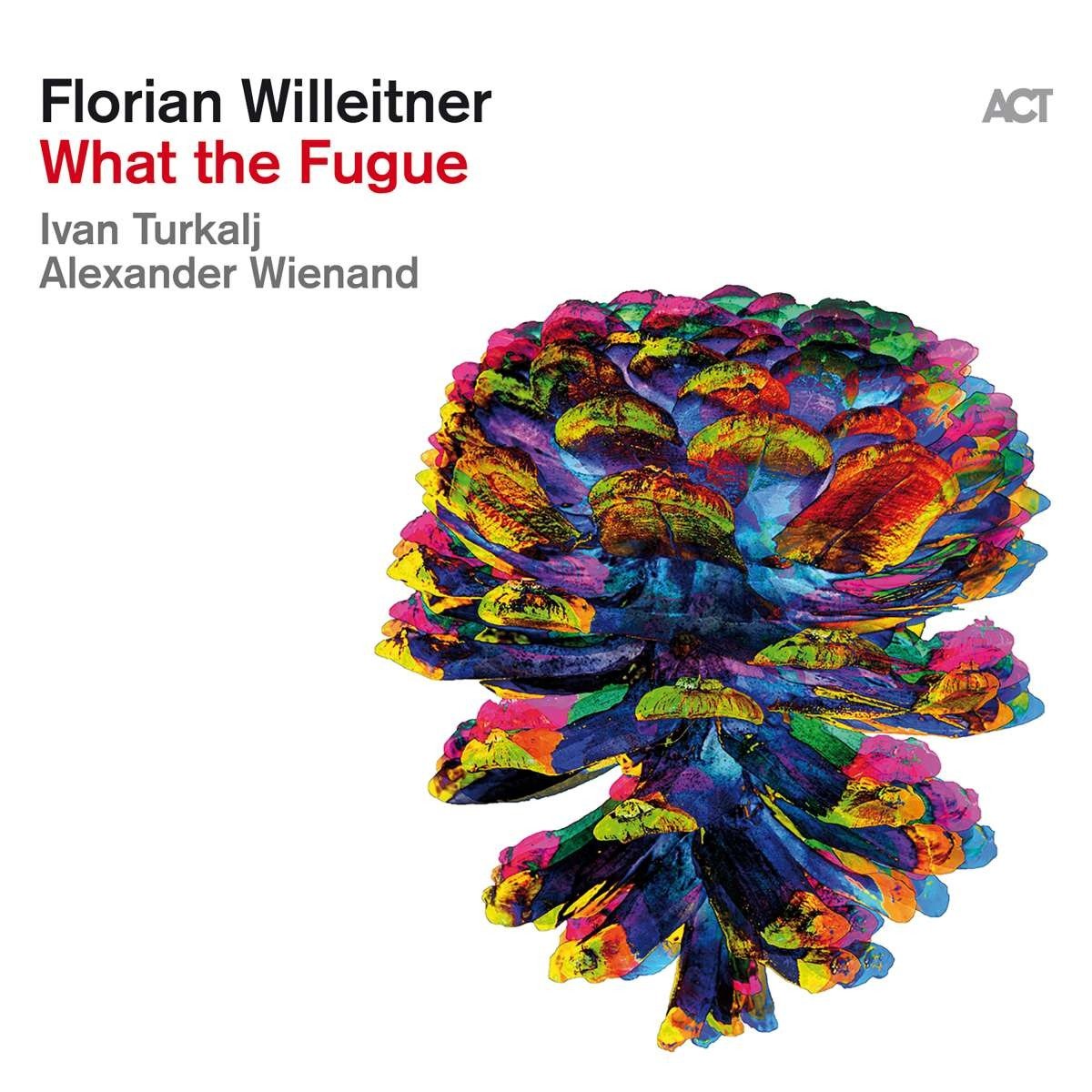 CD Shop - WILLEITNER, FLORIAN WHAT THE FUGUE