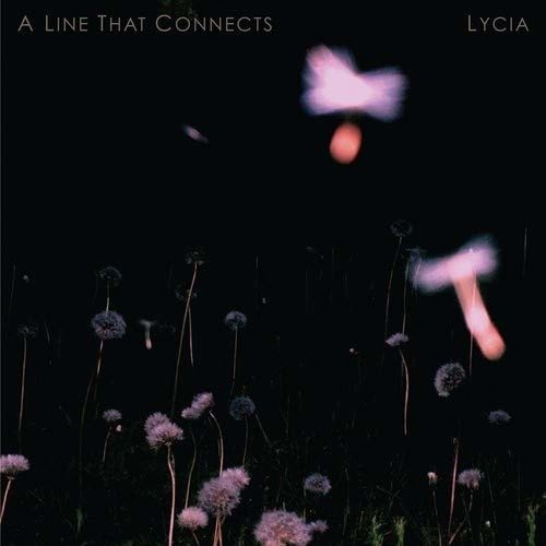 CD Shop - LYCIA A LINE THAT CONNECTS
