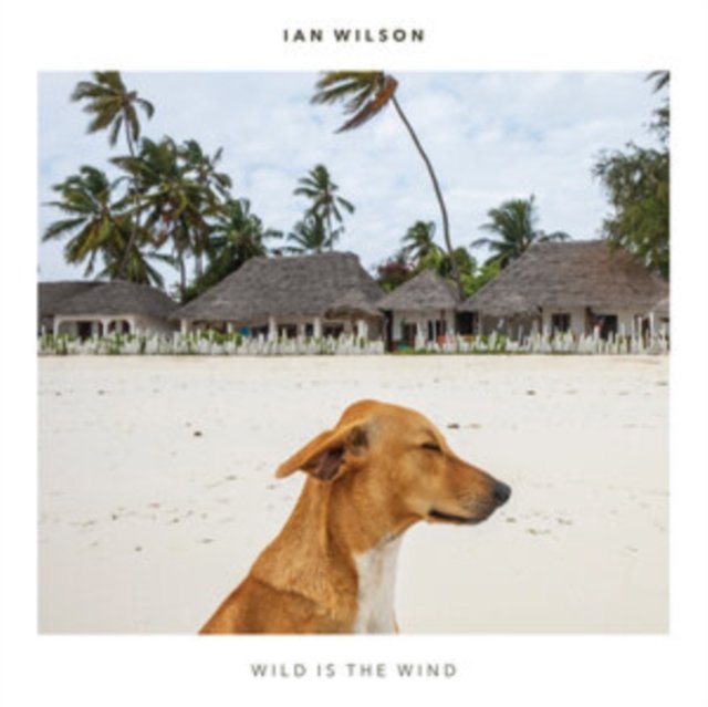 CD Shop - WILSON, IAN WILD IS THE WIND