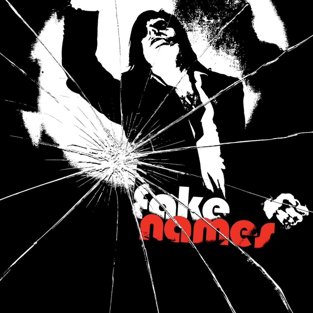 CD Shop - FAKE NAMES FAKE NAMES