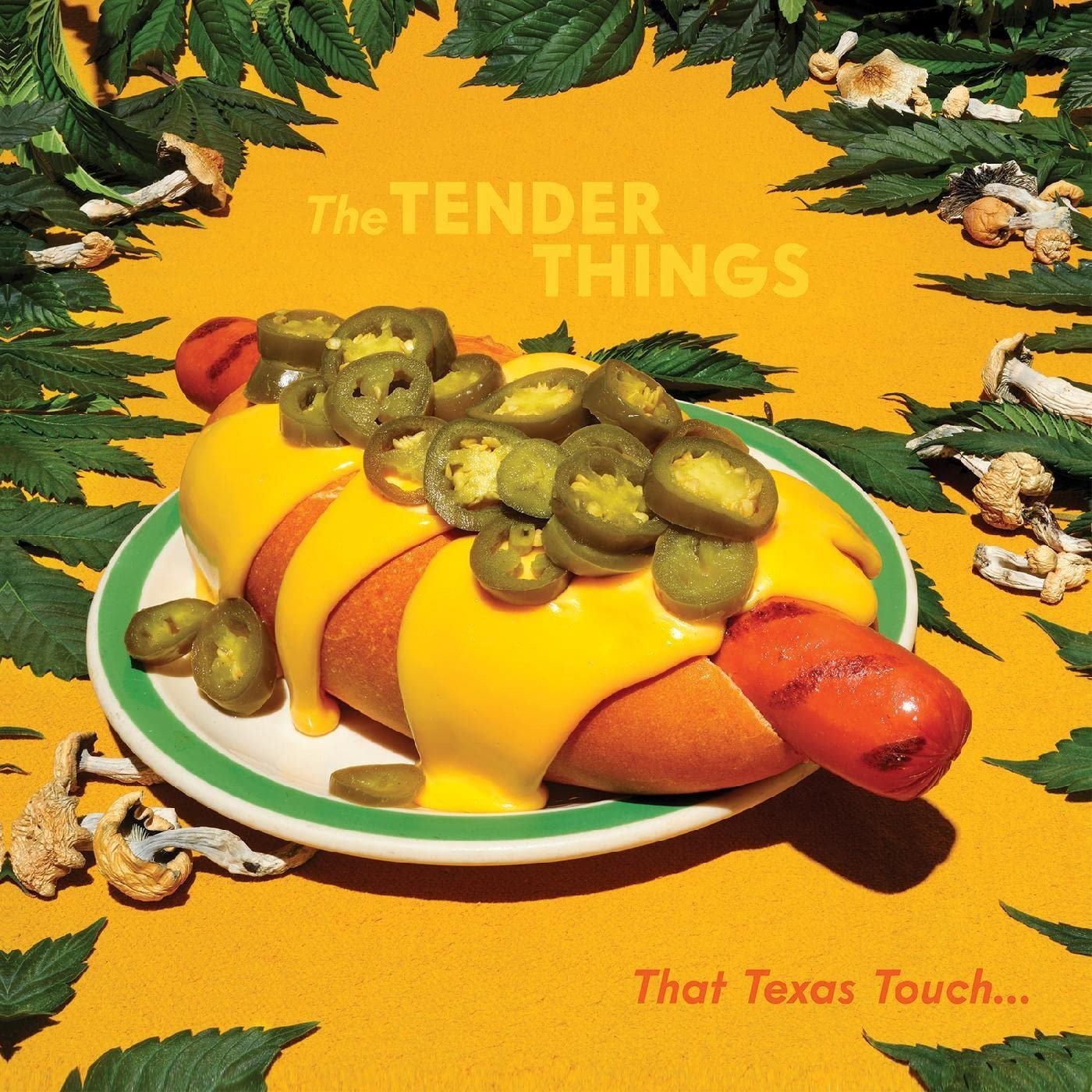 CD Shop - TENDER THINGS THAT TEXAS TOUCH