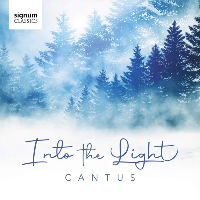 CD Shop - CANTUS INTO THE LIGHT
