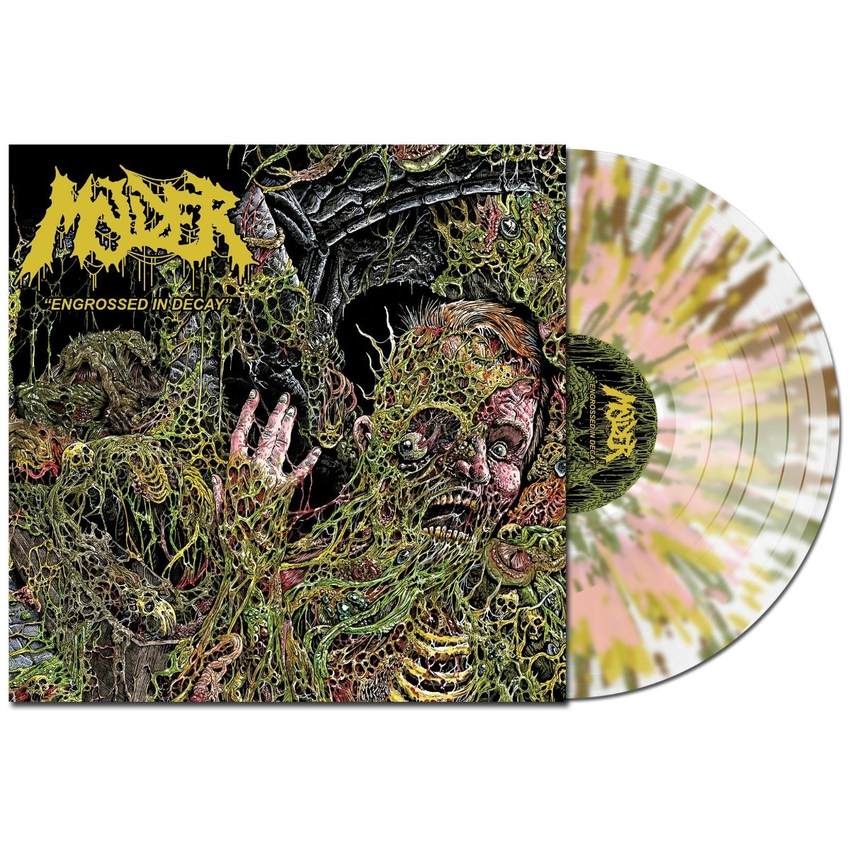 CD Shop - MOLDER ENGROSSED IN DECAY