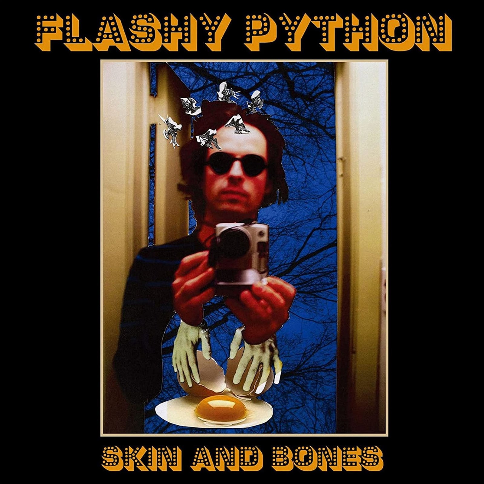 CD Shop - FLASHY PYTHON SKIN AND BONES