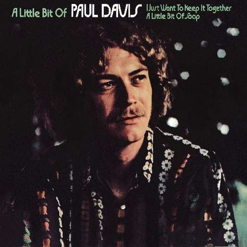 CD Shop - DAVIS, PAUL A LITTLE BIT OF PAUL DAVI