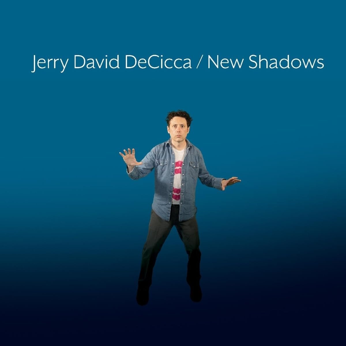 CD Shop - DECICCA, JERRY DAVID NEW SHADOWS