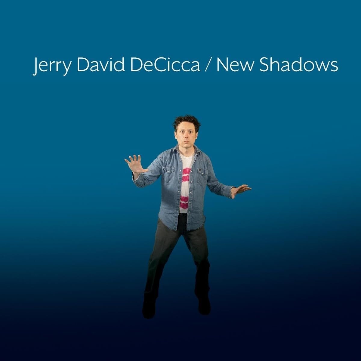 CD Shop - DECICCA, JERRY DAVID NEW SHADOWS