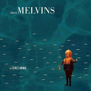 CD Shop - MELVINS A SENILE ANIMAL COLORED LTD.