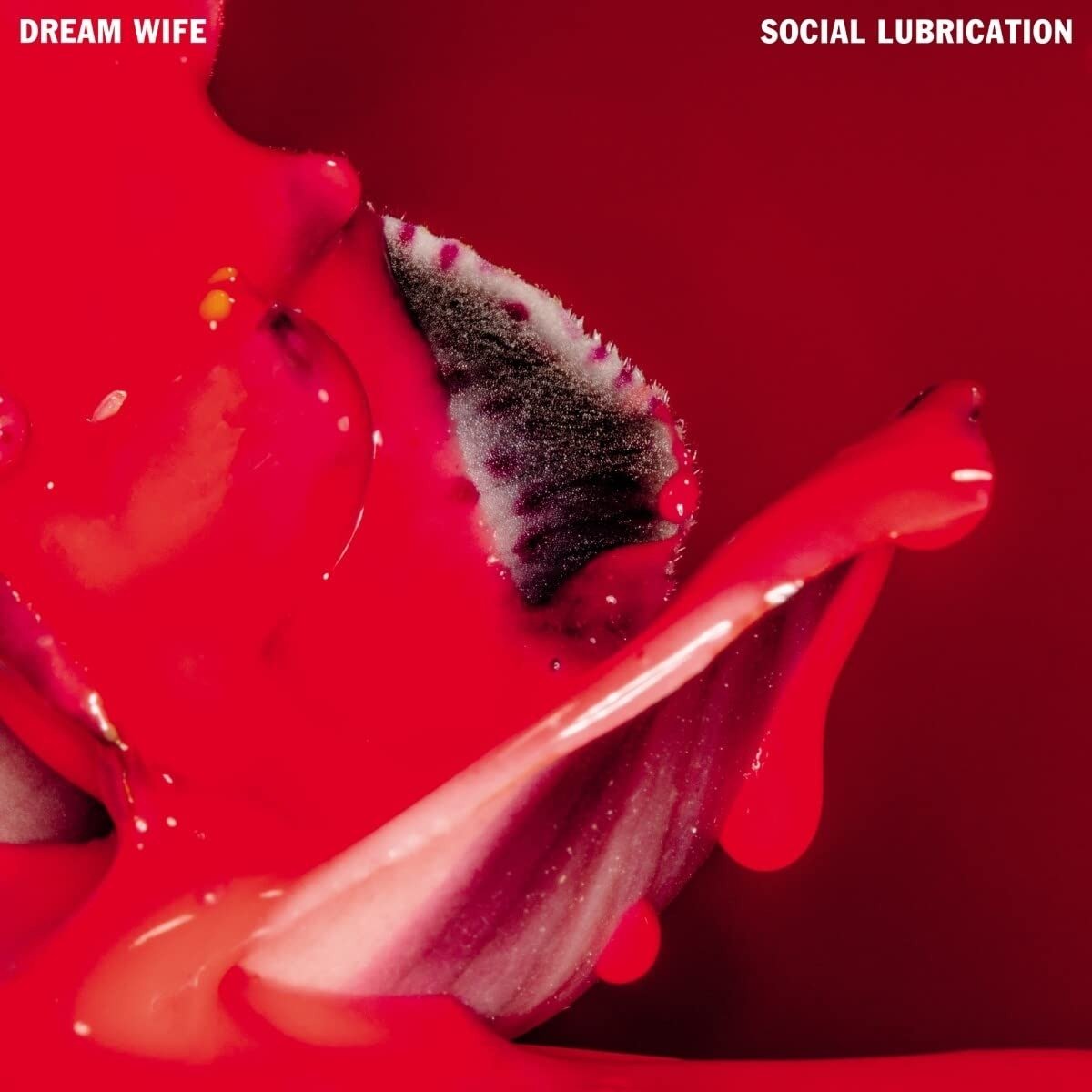 CD Shop - DREAM WIFE SOCIAL LUBRICATION