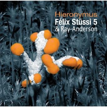 CD Shop - STUSSI, FELIX 5/RAY ANDER HIERONYMUS