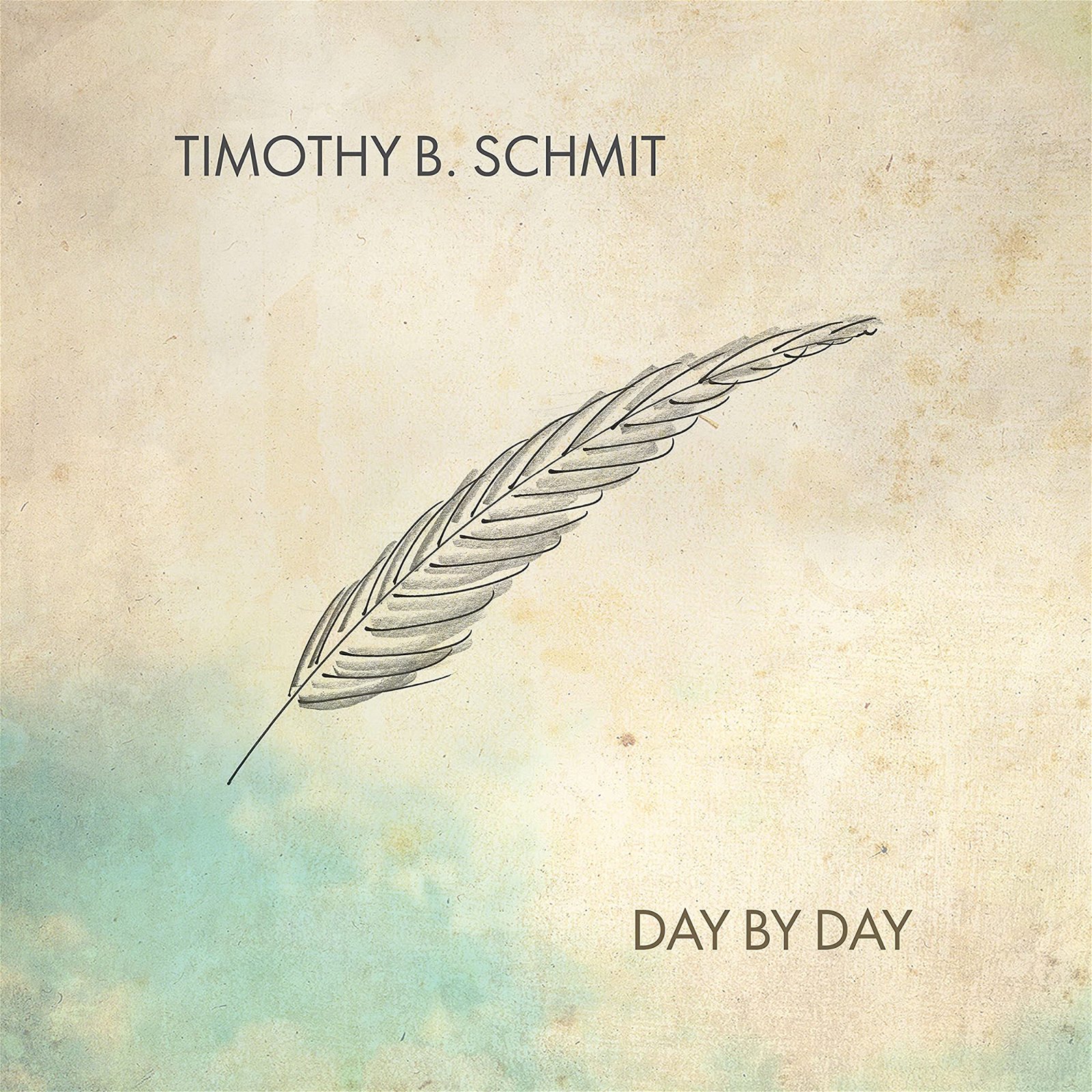 CD Shop - SCHMIT, TIMOTHY B DAY BY DAY