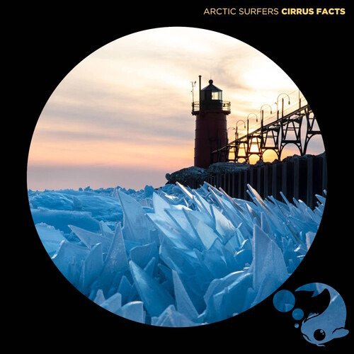 CD Shop - ARCTIC SURFERS CIRRUS FACTS