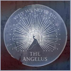 CD Shop - ANGELUS WHY WE NEVER DIE