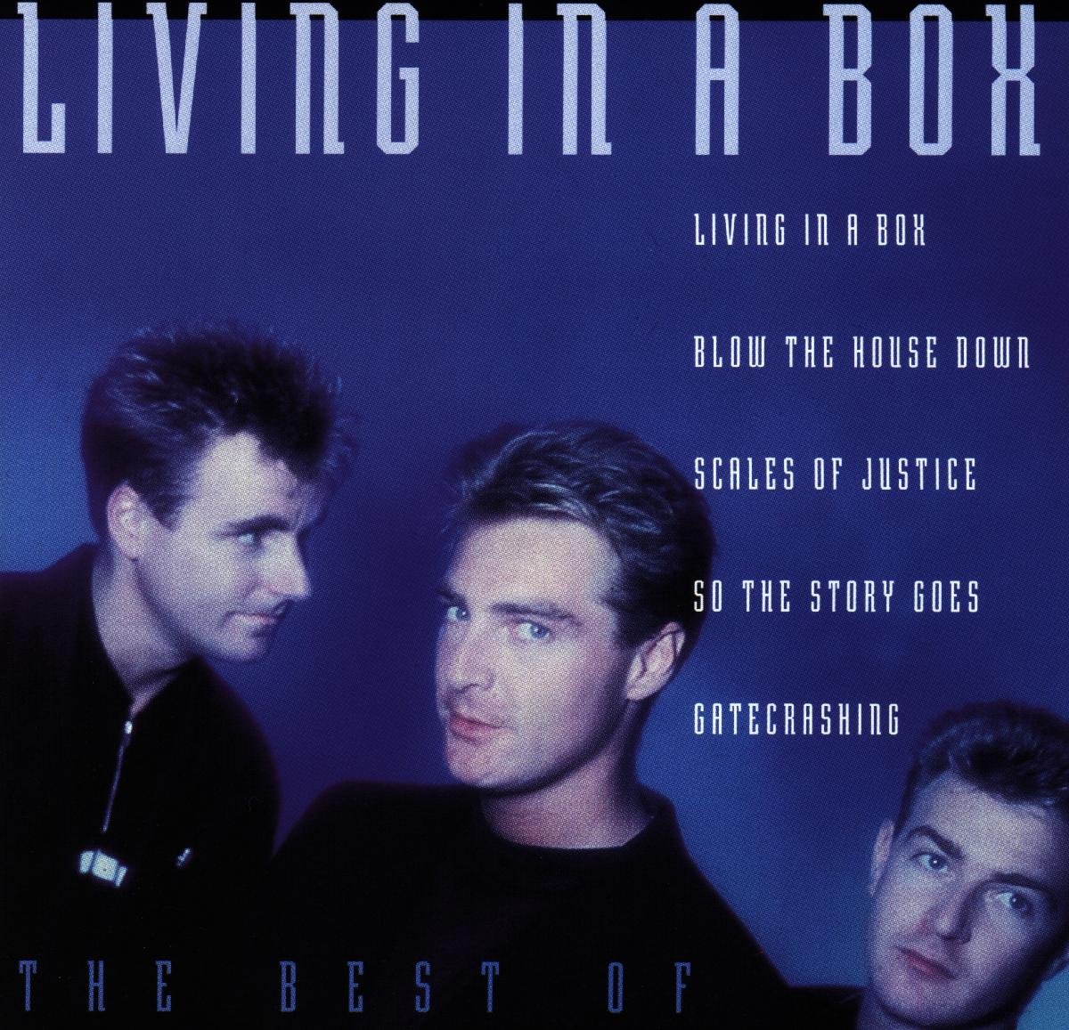 CD Shop - LIVING IN A BOX BEST OF -13TR-