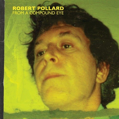 CD Shop - POLLARD, ROBERT FROM A COMPOUND EYE