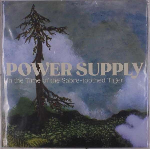 CD Shop - POWER SUPPLY IN THE TIME OF SABRE-TOOTHED TIGER