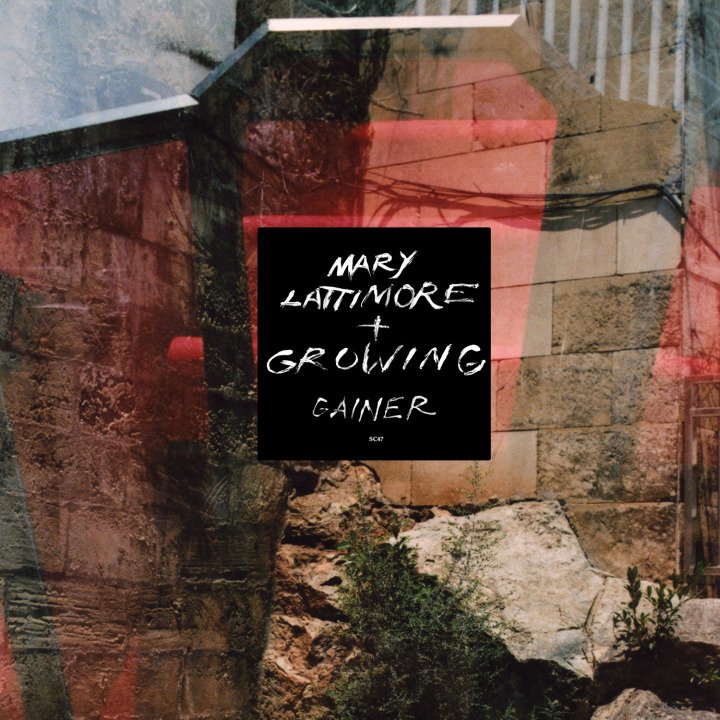 CD Shop - LATTIMORE, MARY & GROWING GAINER