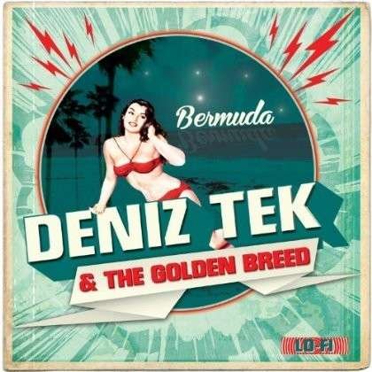 CD Shop - TEK, DENIZ AND THE GOLDEN 7-BERMUDA