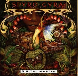 CD Shop - SPYRO GYRA MORNING DANCE