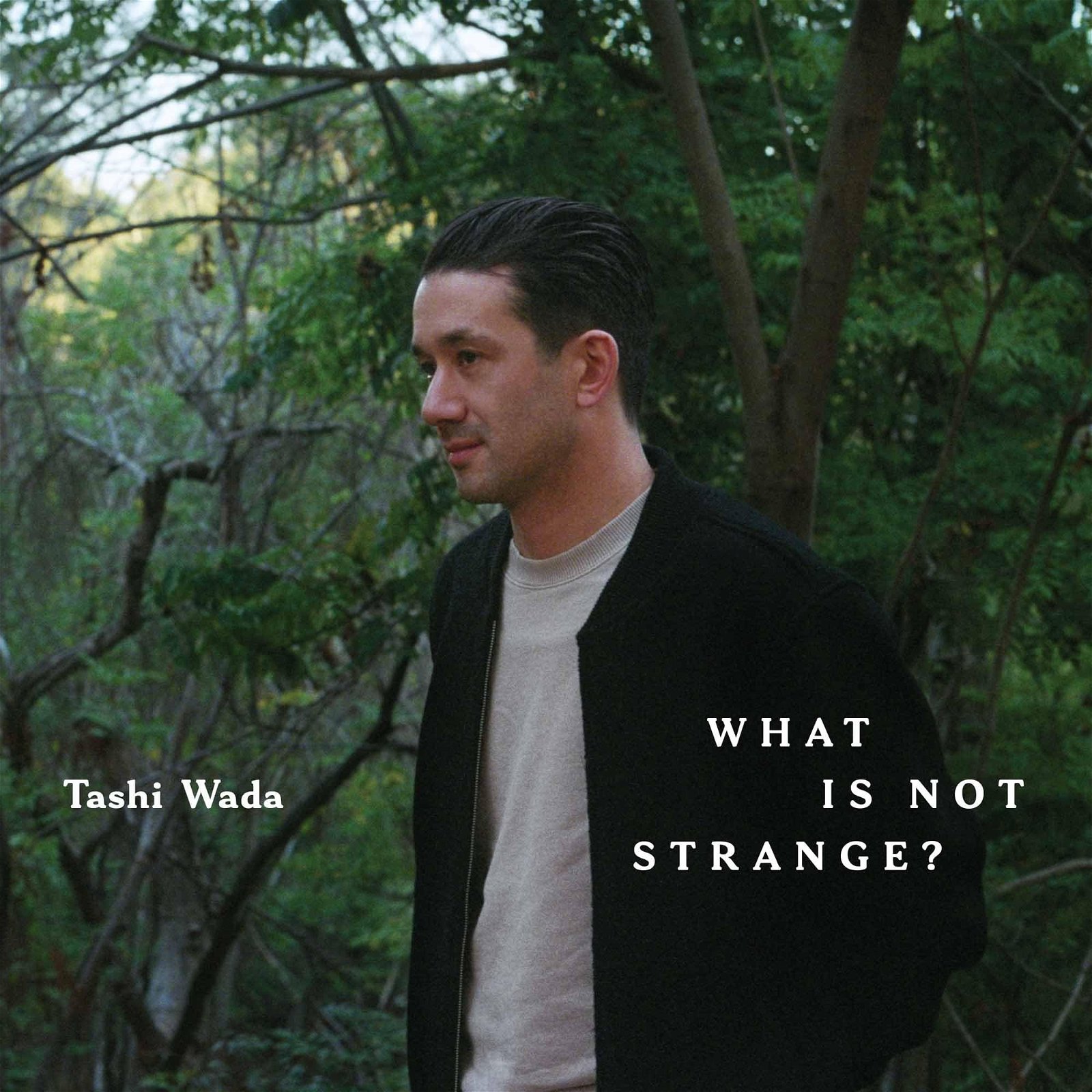 CD Shop - WADA, TASHI WHAT IS NOT STRANGE?