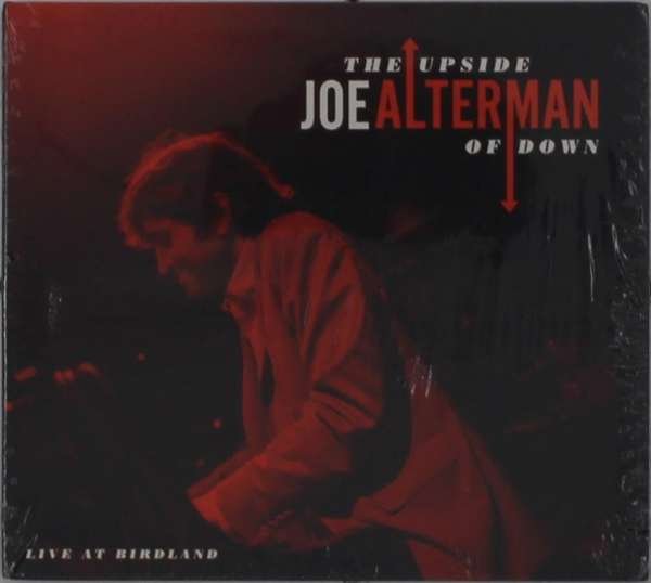 CD Shop - ALTERMAN, JOE UPSIDE OF DOWN