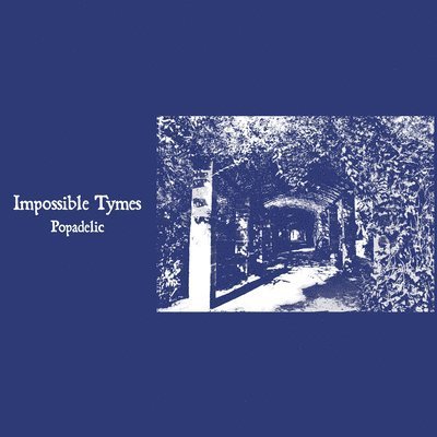 CD Shop - IMPOSSIBLE TYMES POPADELIC