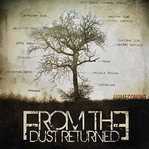 CD Shop - FROM THE DUST RETURNED HOMECOMING