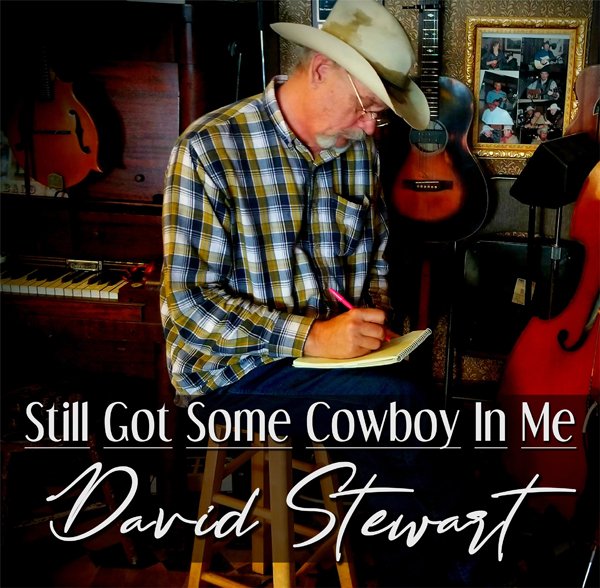 CD Shop - STEWART, DAVID STILL GOT SOME COWBOY IN ME